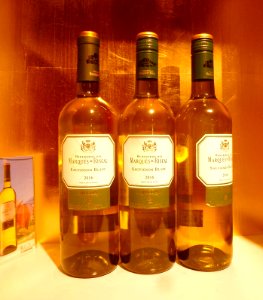 Elciego - Ciudad del Vino-Marqués de Riscal, tienda-bar 12