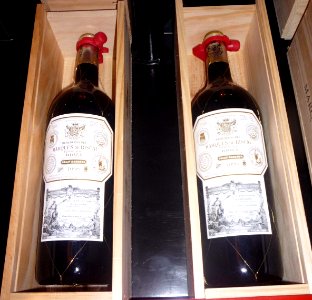 Elciego - Ciudad del Vino-Marqués de Riscal, tienda-bar 08