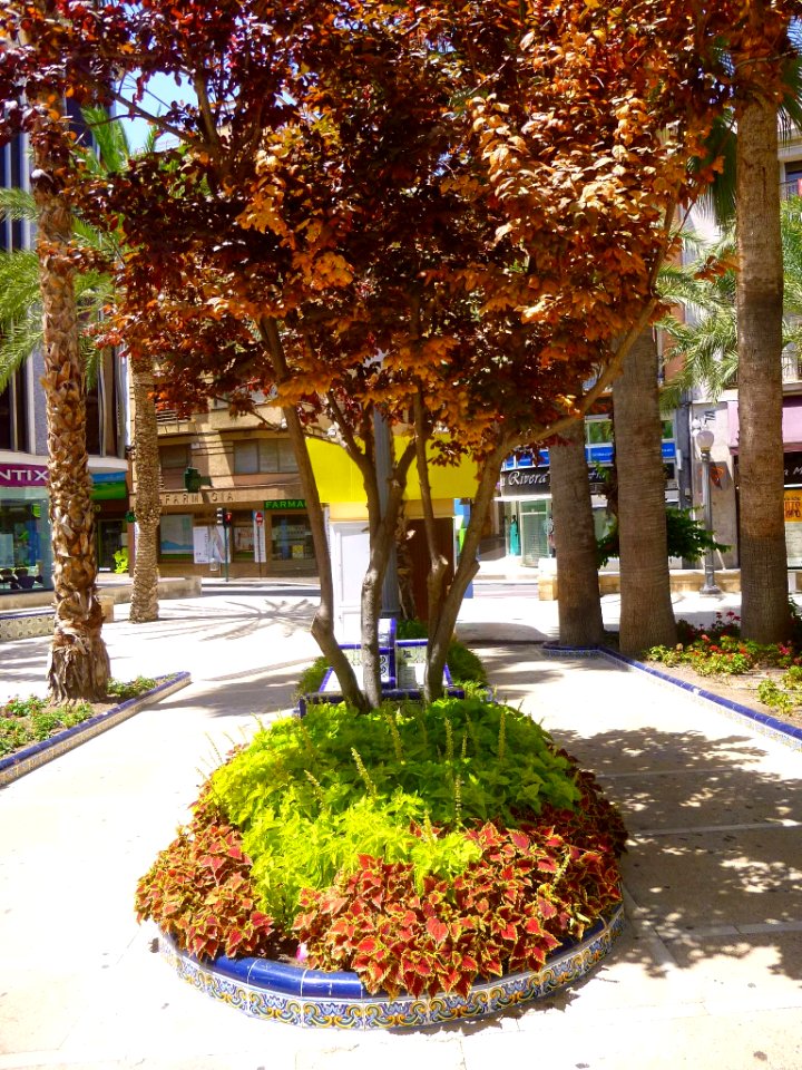 Elche - Plaza de la Glorieta 18