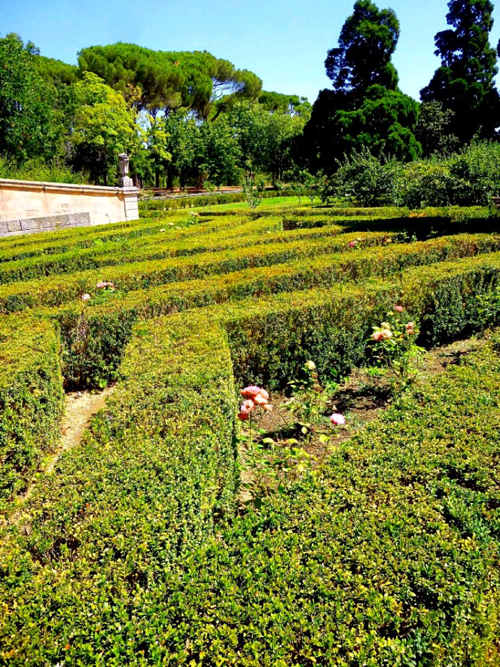 El Escorial - Casita del Príncipe, jardines 09