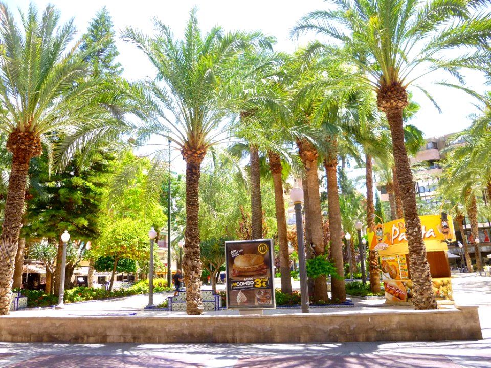 Elche - Plaza de la Glorieta 20