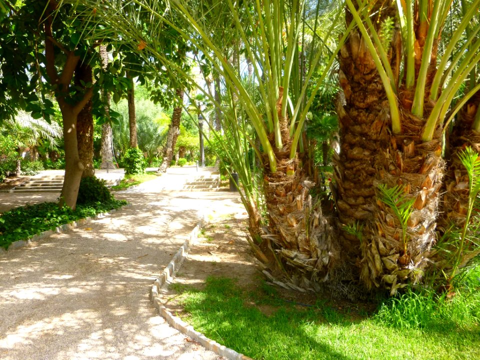 Elche - Parque Municipal 05