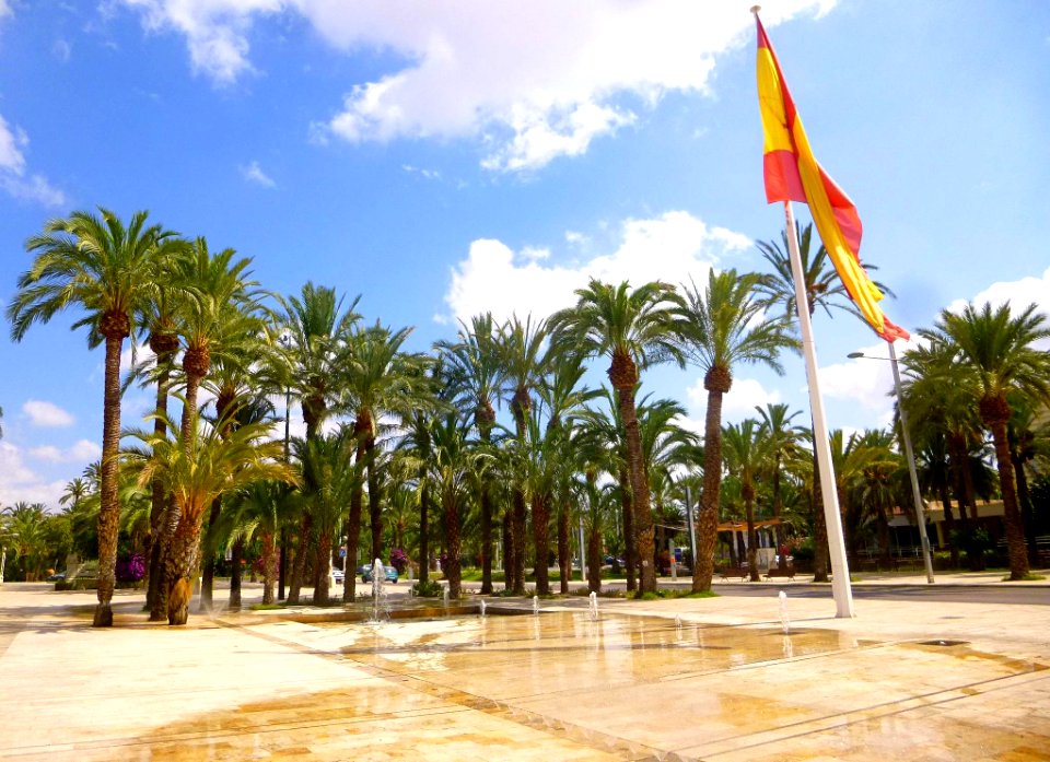 Elche - Paseo de la Estación 4