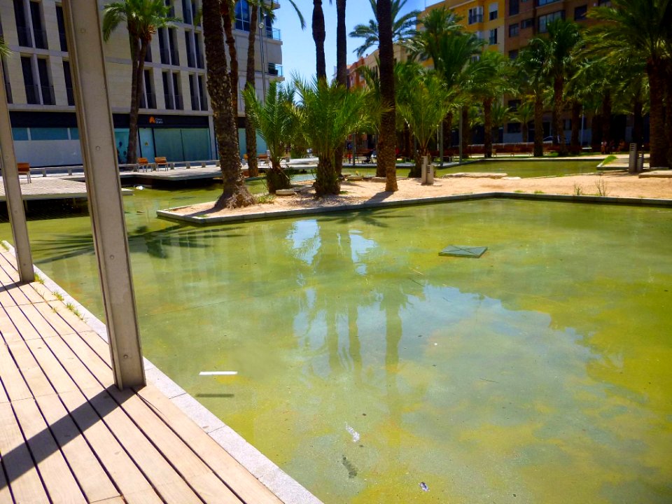 Elche - Parque del Filet de Fora 07
