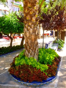 Elche - Plaza de la Glorieta 26