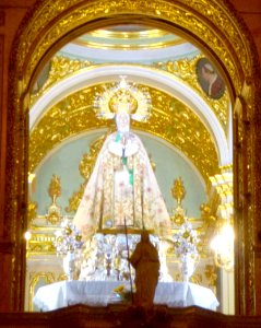 Elche - Basílica de Santa María, interior 38