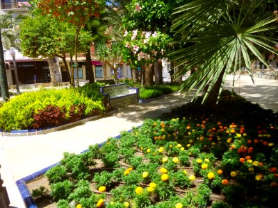 Elche - Plaza de la Glorieta 09