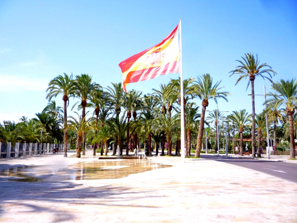 Elche - Paseo de la Estación 5