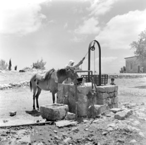 El Muhraka, Karmelgebergte Man uit een druzendorp met muilezel put water uit ee, Bestanddeelnr 255-1425