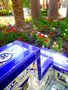 Elche - Plaza de la Glorieta 31