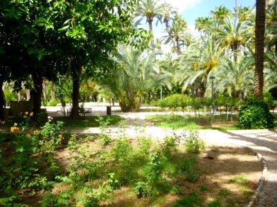 Elche - Parque Municipal 02