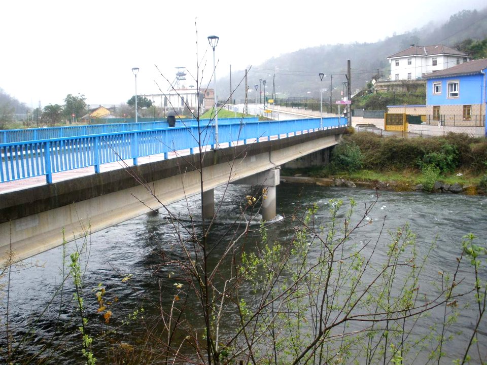 El Entrego (San Martín del Rey Aurelio) - rio Nalón 1