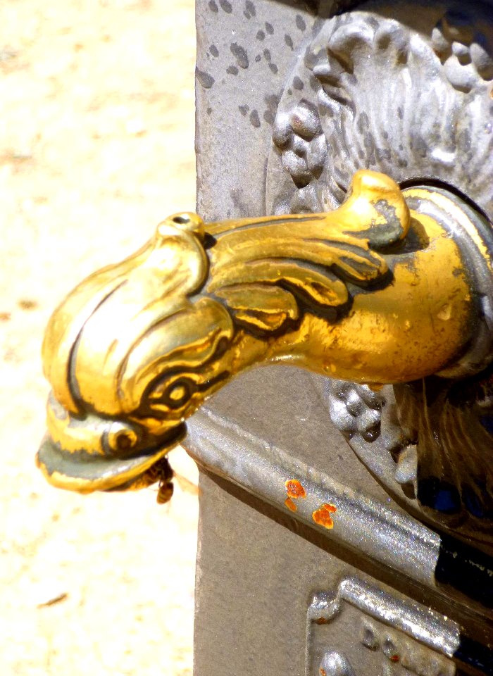 El Escorial - Casita del Príncipe, jardines 11