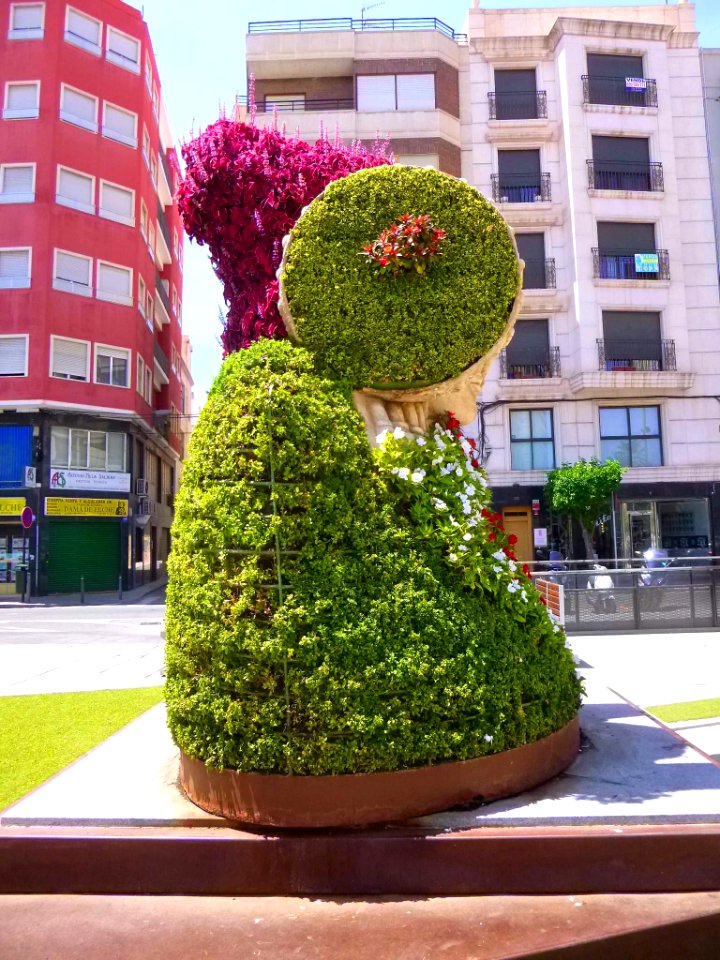 Elche - Dama Floral 7