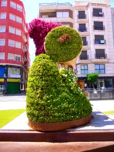 Elche - Dama Floral 7
