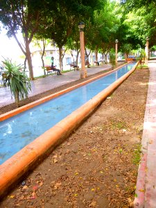 Elche - Avenida de la Libertad 08