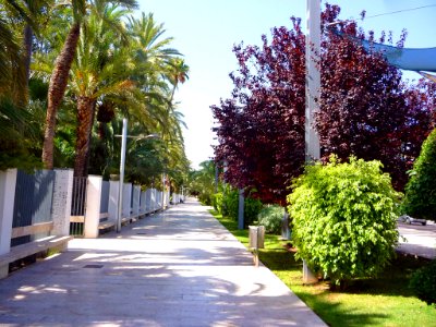 Elche - Espacio de Arte de Elche 04