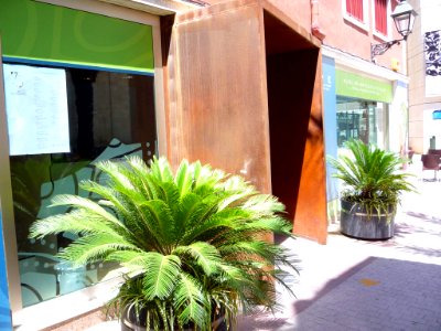 Elche - Museo Palentológico de Elche (MUPE) 2