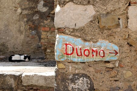 Dome italian city cat nap photo