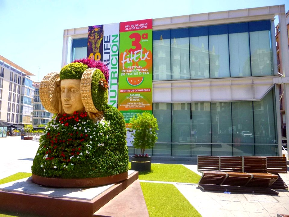 Elche - Dama Floral 3