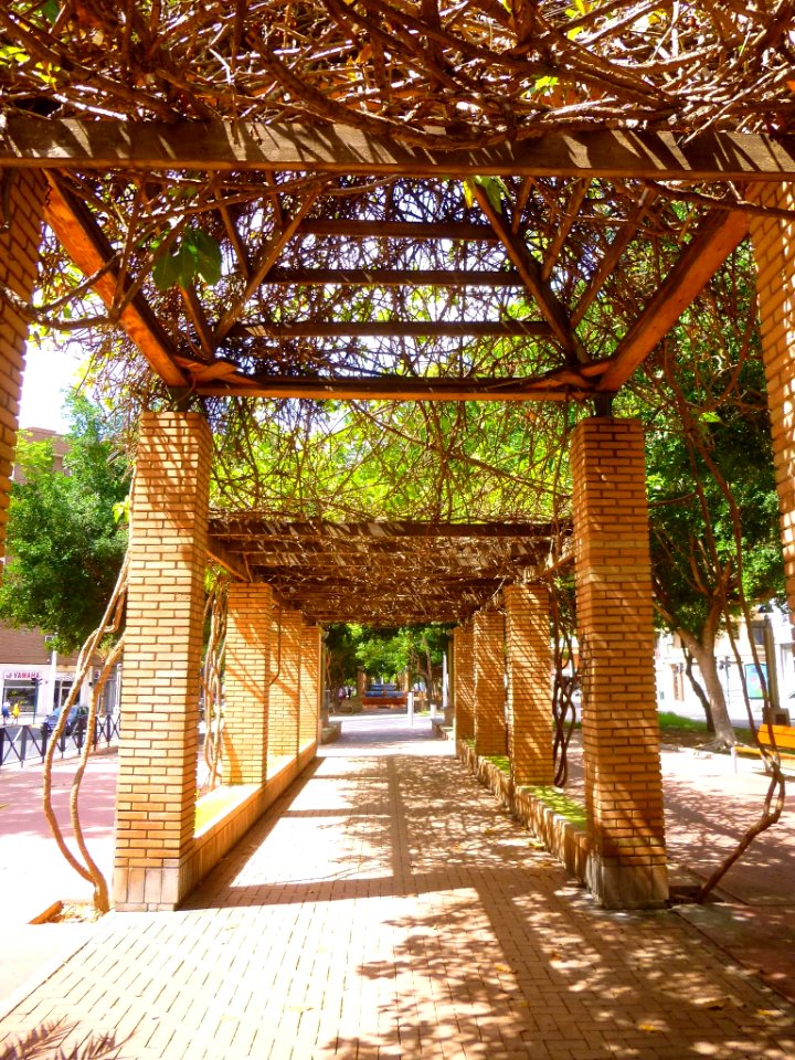 Elche - Avenida de la Libertad 06