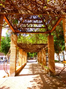 Elche - Avenida de la Libertad 06