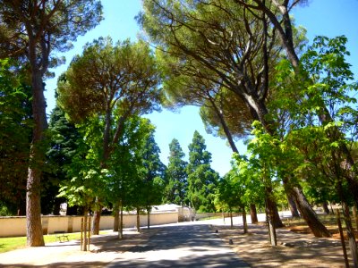 El Escorial - Casita del Príncipe, entorno 2