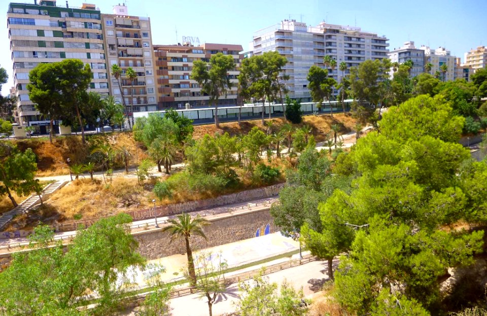 Elche - Cauce del río Vinalopó 09