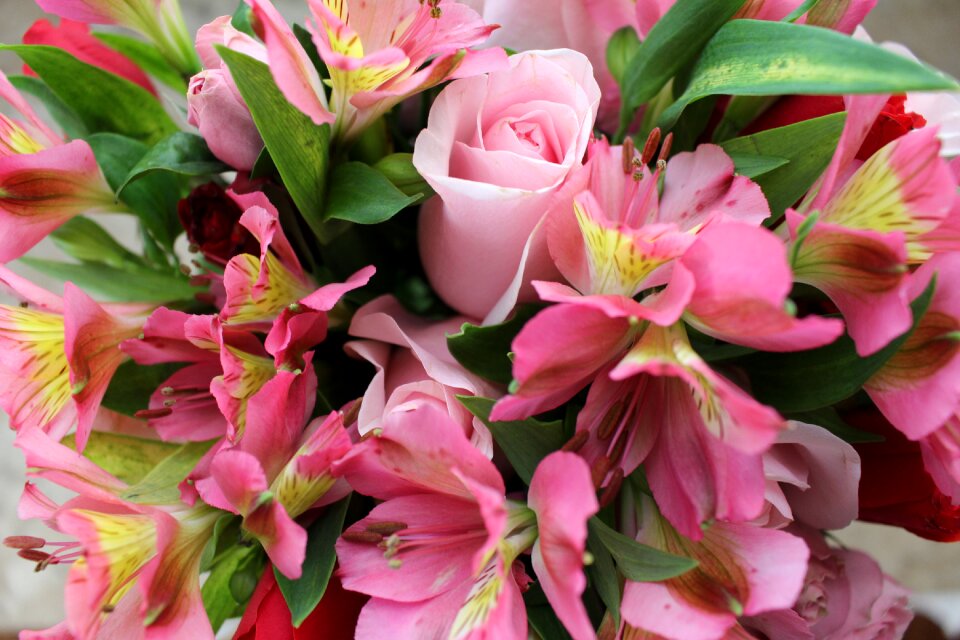 Bouquet flowers pink flowers