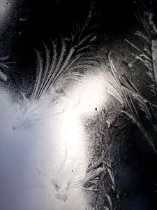 Eisblume auf Autoscheibe 01