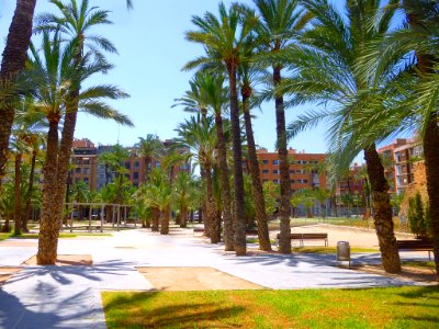 Elche - Parque del Filet de Fora 03