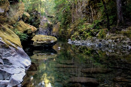 Willamette national forest oregon usa photo