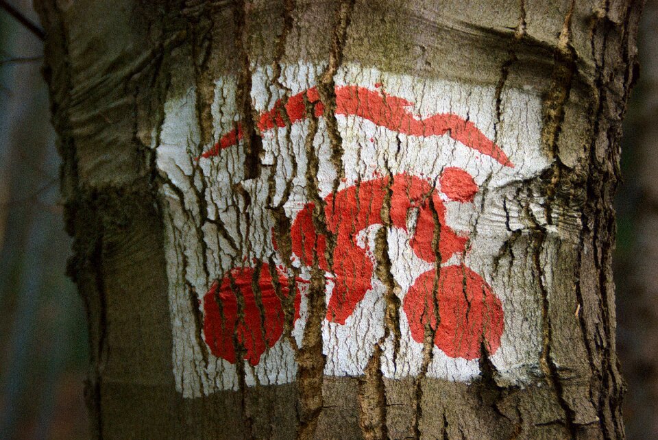 Sign bike the bark