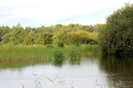 Eispohl Naturschutzgebiet Eispohl-Sandwehen, Bremen