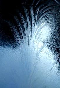 Eisblume auf Autoscheibe 02