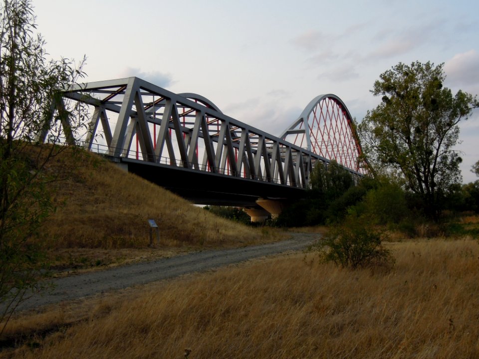 Elbebrücken südlich Wittenberg -Dreiviertelsicht der Bahnbrücke von Südost- Ende August 2018b