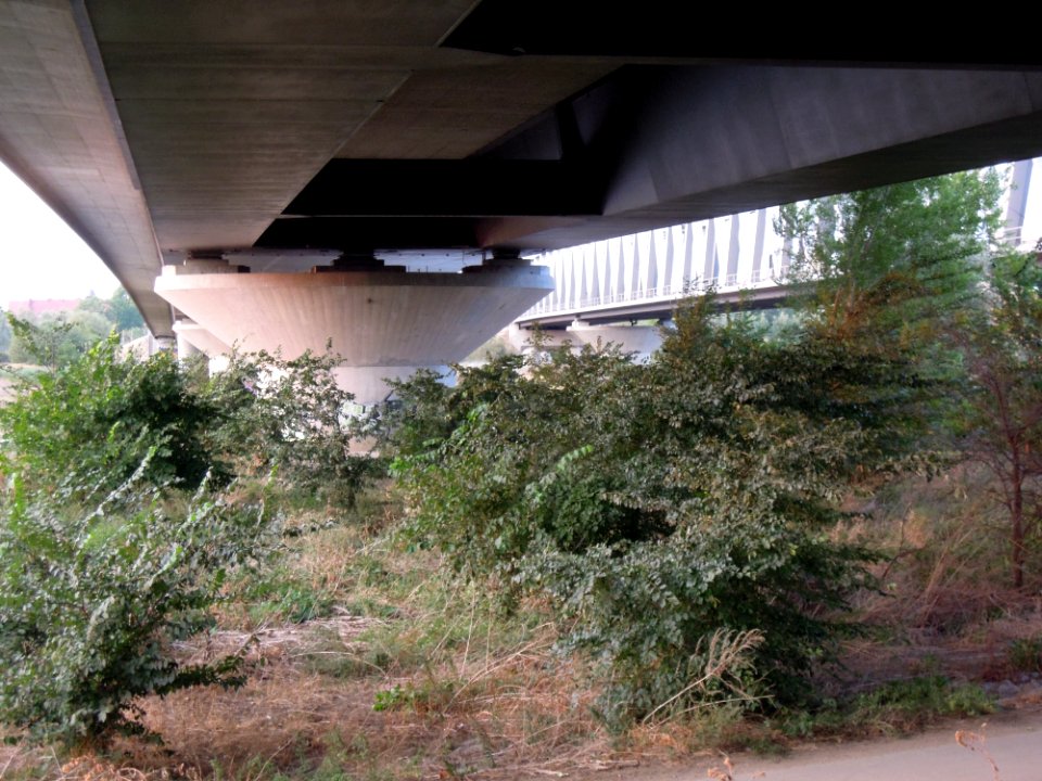 Elbebrücken südlich Wittenberg -Untersicht mit Hohlkästen der Straßenbrücke am Südende, die sich im Zuge der Hauptöffnung vereinigen- Ende August 2018