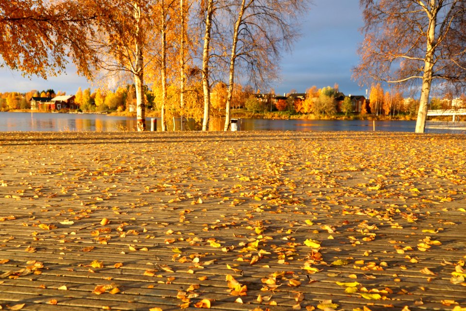Elba Oulu 20171015