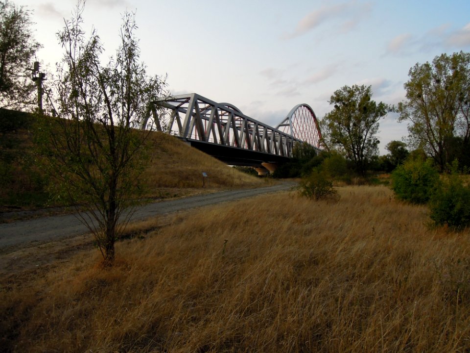 Elbebrücken südlich Wittenberg -Dreiviertelsicht der Bahnbrücke von Südost- Ende August 2018a