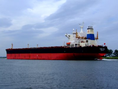 Elbe Max IMO 9171278 p07a at Port of Amsterdam, Holland 05-Jul-2008