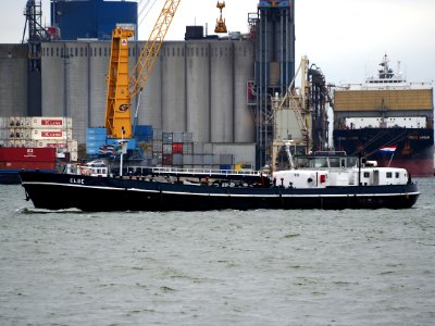 Elbe (ship, 1962), ENI 02321255 Port of Antwerp