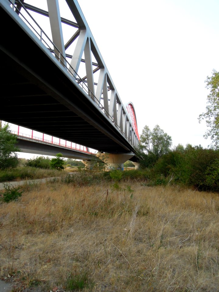 Elbebrücken südlich Wittenberg -Untersicht der Bahnbrücke am Südende mit Blick auf Fachwerk und Bogen- Ende August 2018a