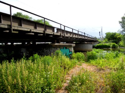 Eisenbahnüberführung über die Weiße Elster im Verlauf des Heuwegs in Leipzig -Dreiviertelsicht von Südwest- im Juni 2019