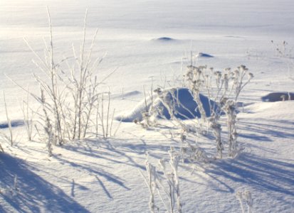 Elba Oulu 20100214