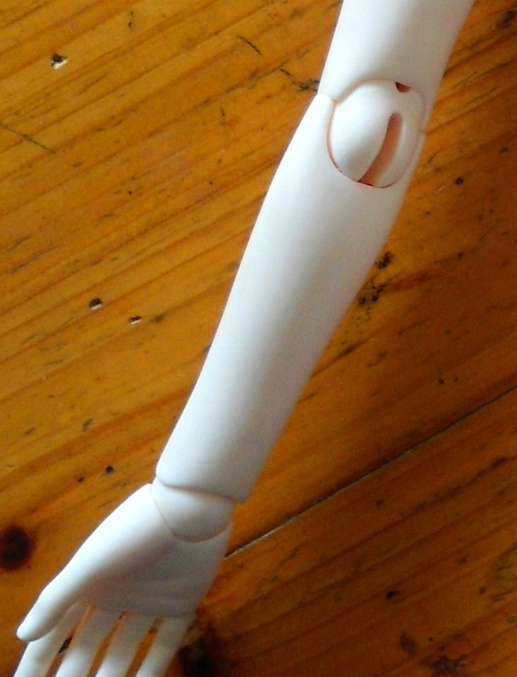 Elbow and wrist joint of male ball-jointed doll