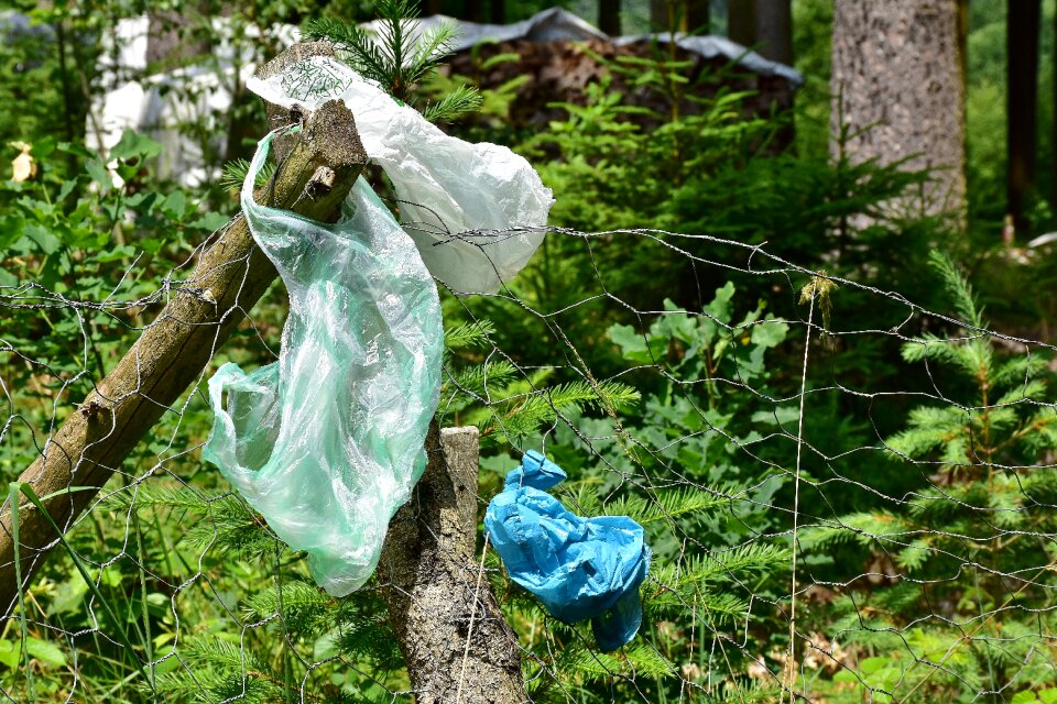 Waste disposal environmental protection nature
