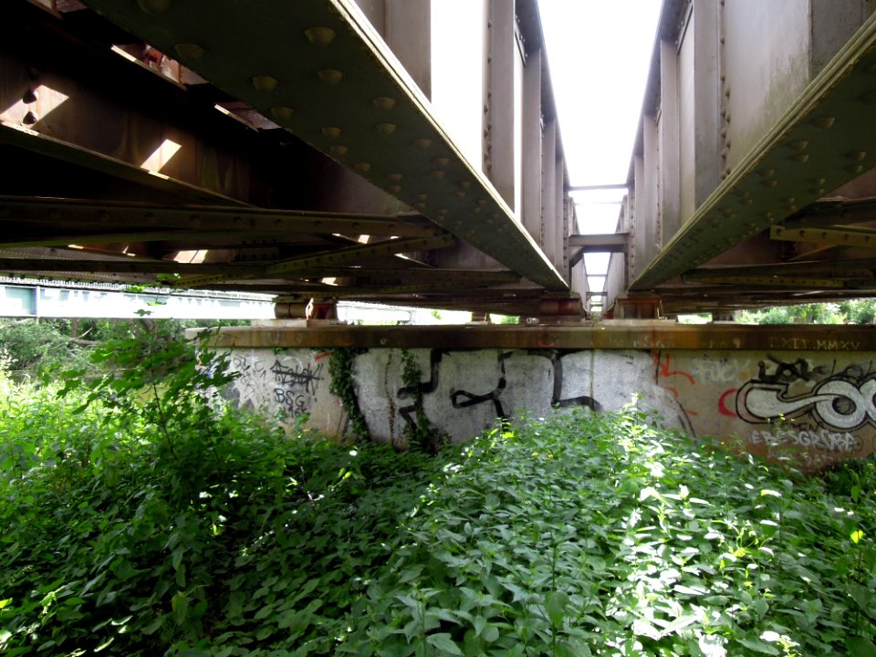 Eisenbahnüberführung über die Weiße Elster im Verlauf des Heuwegs in Leipzig -Pfeiler 1 von West, Untersicht- im Juni 2019b