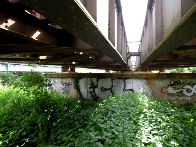 Eisenbahnüberführung über die Weiße Elster im Verlauf des Heuwegs in Leipzig -Pfeiler 1 von West, Untersicht- im Juni 2019b