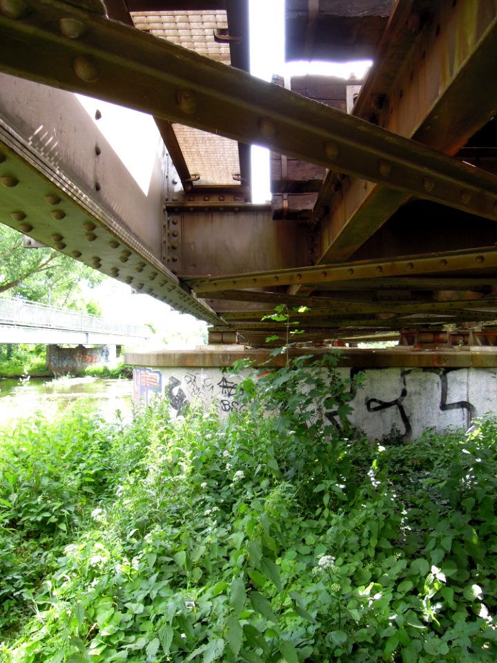 Eisenbahnüberführung über die Weiße Elster im Verlauf des Heuwegs in Leipzig -Pfeiler 1 von West, Untersicht- im Juni 2019d