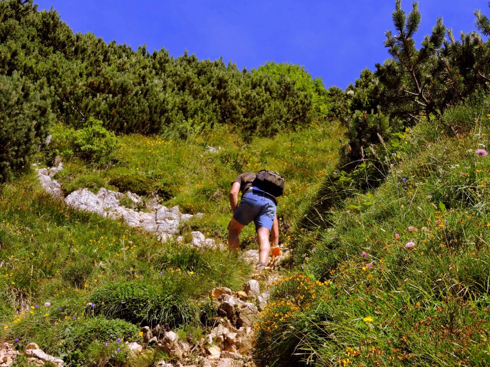 Mountain hiking grass